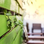 family-room-polyxrono-hotel-12